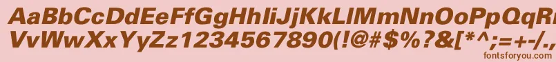 UniversBlackItalic Font – Brown Fonts on Pink Background