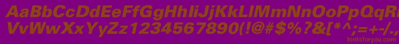 UniversBlackItalic Font – Brown Fonts on Purple Background