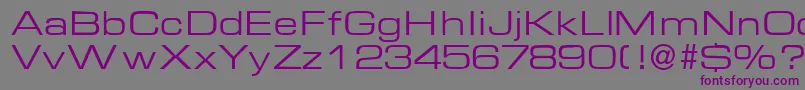 Шрифт EuralblackdbNormal – фиолетовые шрифты на сером фоне