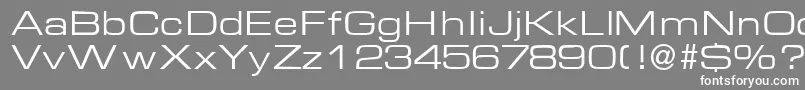 EuralblackdbNormal Font – White Fonts on Gray Background