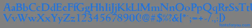 GouditaserialMediumRegular Font – Blue Fonts on Gray Background