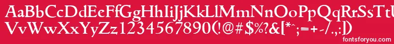 フォントGouditaserialMediumRegular – 赤い背景に白い文字