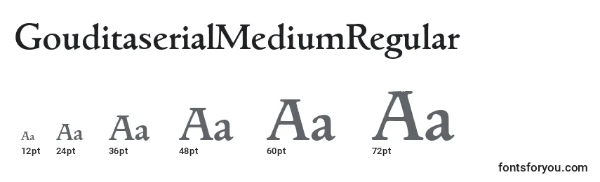 Размеры шрифта GouditaserialMediumRegular