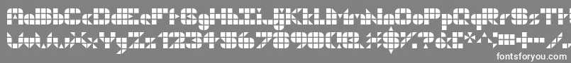 フォントGeogrid9 – 灰色の背景に白い文字