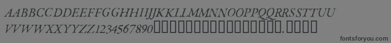 ParkinsonRegular Font – Black Fonts on Gray Background