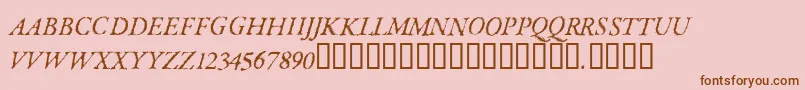 ParkinsonRegular Font – Brown Fonts on Pink Background