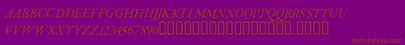 ParkinsonRegular Font – Brown Fonts on Purple Background