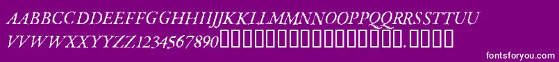 ParkinsonRegular Font – White Fonts on Purple Background