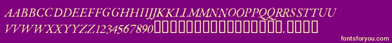 ParkinsonRegular Font – Yellow Fonts on Purple Background