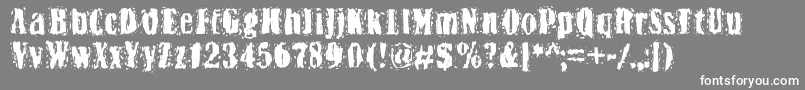 Bn Yiftachrough Font – White Fonts on Gray Background