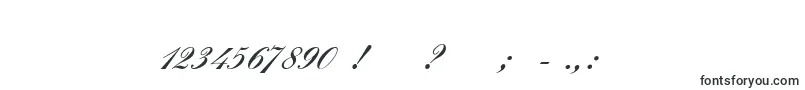 Шрифт VeneraInitial – шрифты, начинающиеся на V