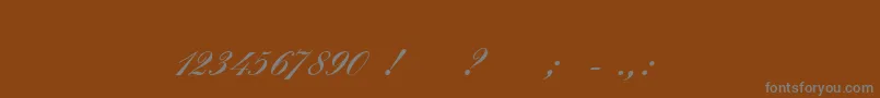 VeneraInitialフォントについての詳細 フォントVeneraInitial – 茶色の背景に灰色の文字