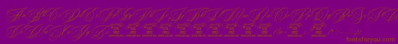 BeakedtyrantPersonaluseonly-fontti – ruskeat fontit violetilla taustalla