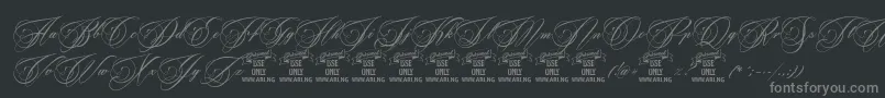 BeakedtyrantPersonaluseonly-fontti – harmaat kirjasimet mustalla taustalla