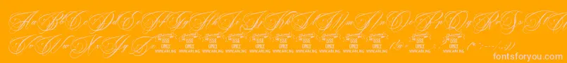 BeakedtyrantPersonaluseonly-fontti – vaaleanpunaiset fontit oranssilla taustalla