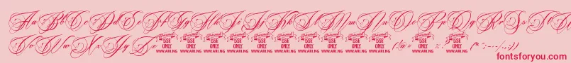 BeakedtyrantPersonaluseonly Font – Red Fonts on Pink Background