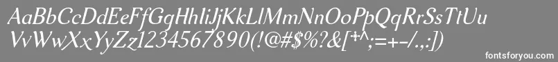 Aurelisadfno2stdItalic Font – White Fonts on Gray Background