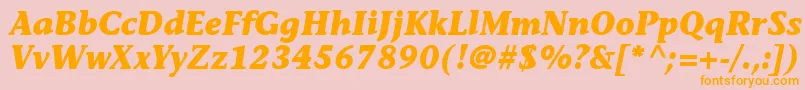 MesouranCasualBlackSsiBoldItalic Font – Orange Fonts on Pink Background