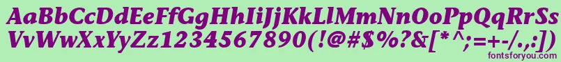 MesouranCasualBlackSsiBoldItalic Font – Purple Fonts on Green Background