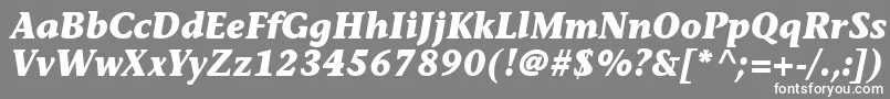 フォントMesouranCasualBlackSsiBoldItalic – 灰色の背景に白い文字