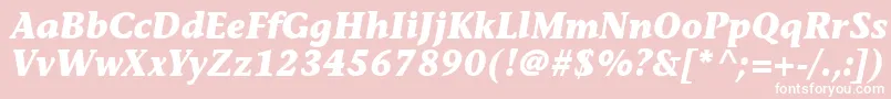 MesouranCasualBlackSsiBoldItalic Font – White Fonts on Pink Background