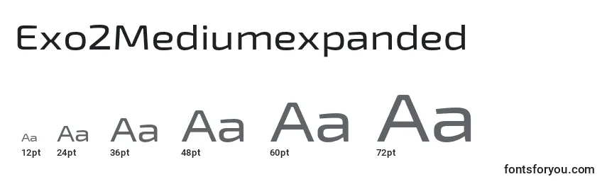 Размеры шрифта Exo2Mediumexpanded