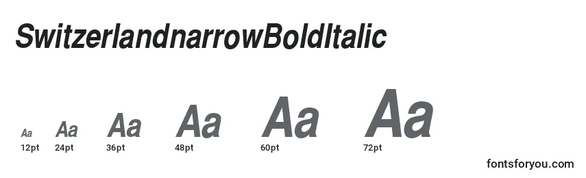 Размеры шрифта SwitzerlandnarrowBoldItalic