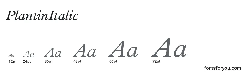 Размеры шрифта PlantinItalic