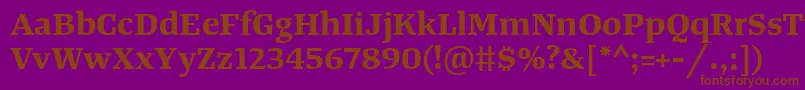 TangerserifwideBold Font – Brown Fonts on Purple Background