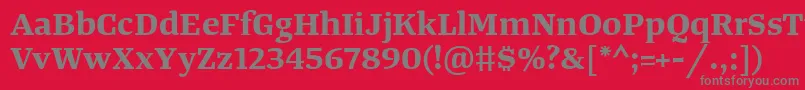 フォントTangerserifwideBold – 赤い背景に灰色の文字