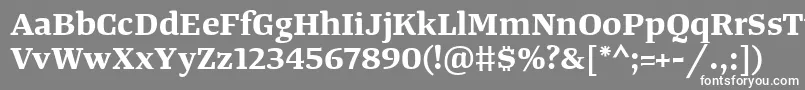 フォントTangerserifwideBold – 灰色の背景に白い文字