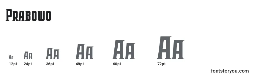 Prabowo Font Sizes