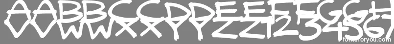 QuickyBrush Font – White Fonts on Gray Background