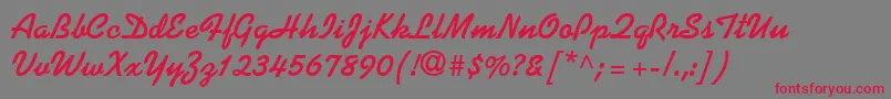KaufmannLtBold Font – Red Fonts on Gray Background