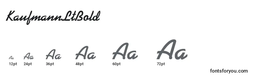 KaufmannLtBold Font Sizes