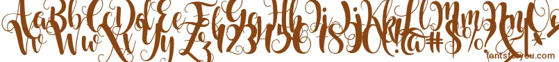 Starfish Font – Brown Fonts on White Background