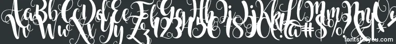 Starfish Font – White Fonts