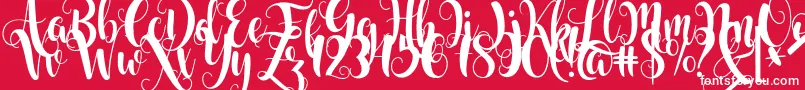 Starfish Font – White Fonts on Red Background