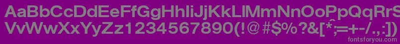 AgentextmeddbNormal Font – Gray Fonts on Purple Background