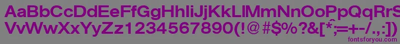 AgentextmeddbNormal Font – Purple Fonts on Gray Background