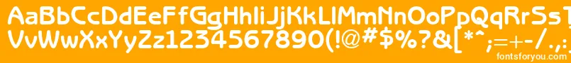 フォントBertholdRegular – オレンジの背景に白い文字