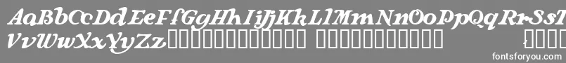 Langhorne Font – White Fonts on Gray Background