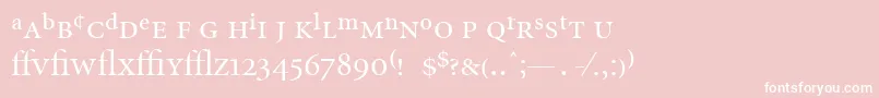 MinionExpertDisplayRegular Font – White Fonts on Pink Background