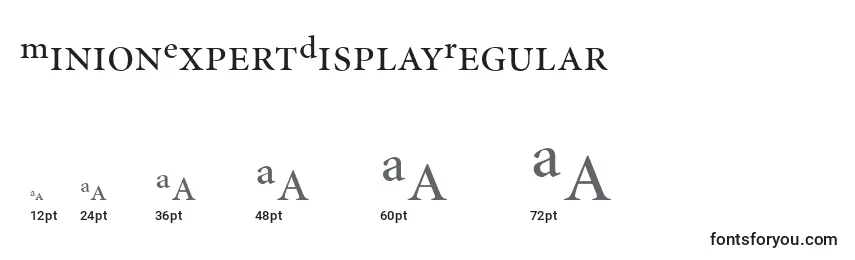 Размеры шрифта MinionExpertDisplayRegular