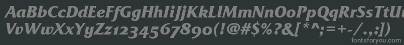 Шрифт FrizQuadrataOsTtBolditalic – серые шрифты на чёрном фоне
