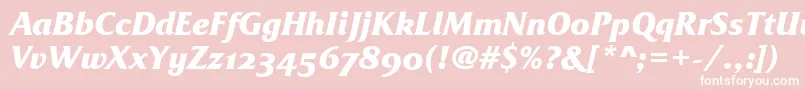 Шрифт FrizQuadrataOsTtBolditalic – белые шрифты на розовом фоне