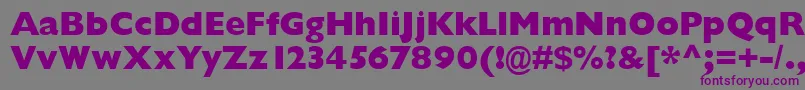 GarrisonExtraboldSansBold Font – Purple Fonts on Gray Background