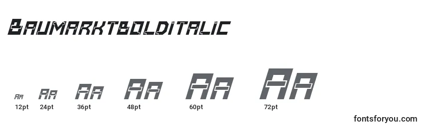Baumarktbolditalic Font Sizes