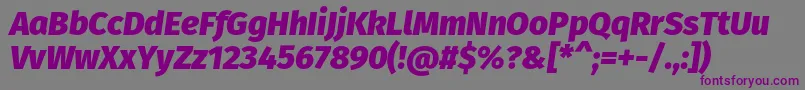 FirasansHeavyitalic Font – Purple Fonts on Gray Background