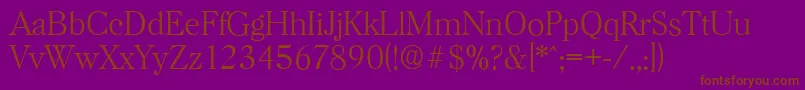 HorshamserialXlightRegular Font – Brown Fonts on Purple Background